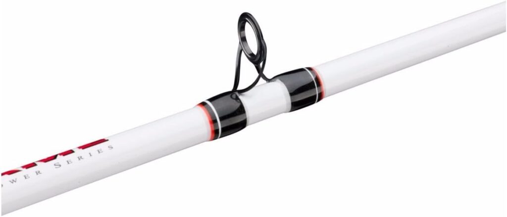 Berkley Big Game Casting Fishing Rod