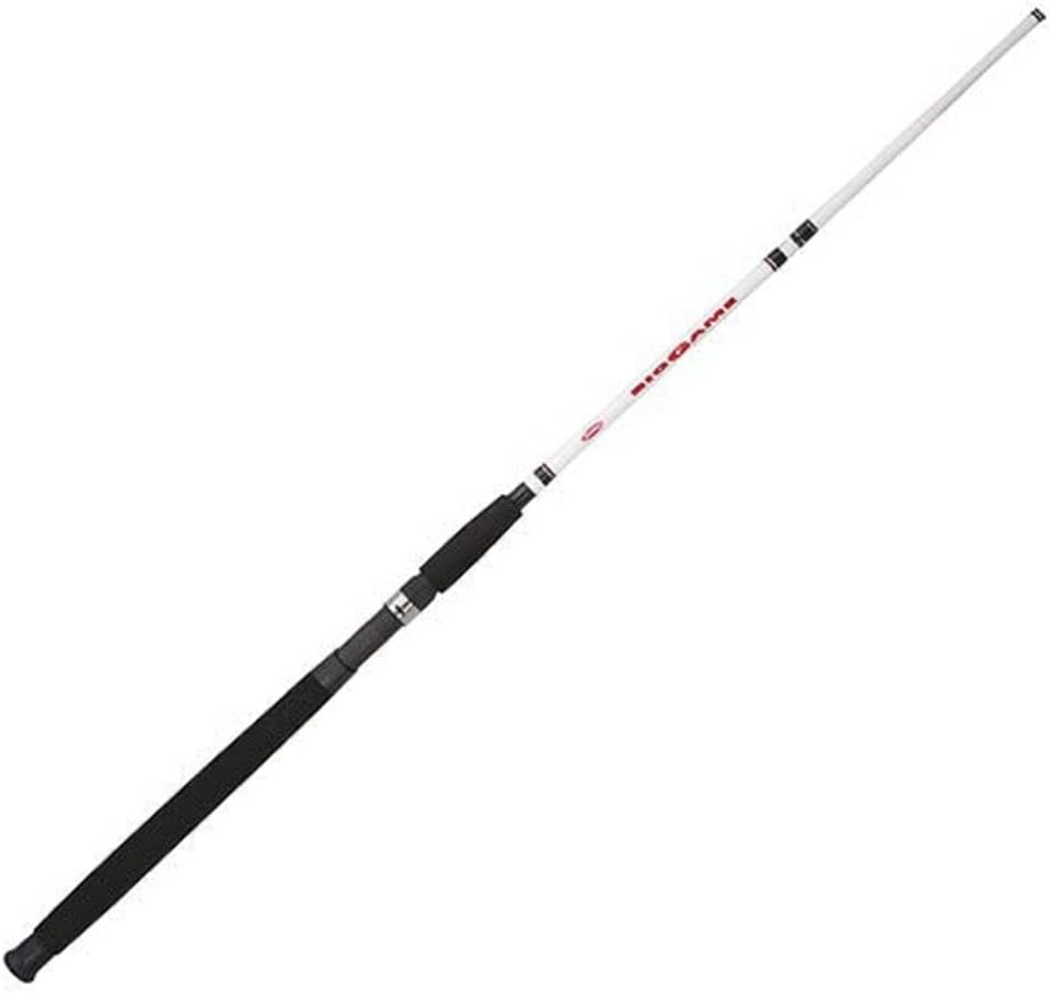 Berkley Big Game Casting Fishing Rod